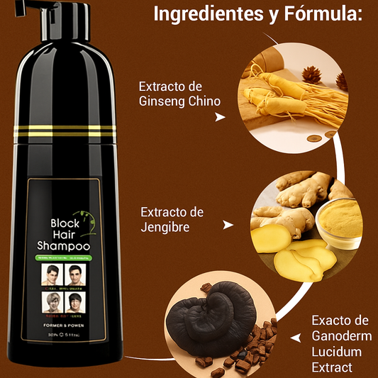 SHAMPOO ARABE CUBRE CANAS